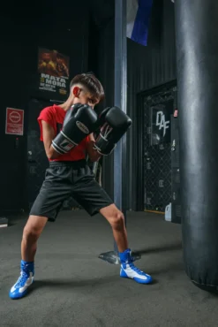 Fighting Sports Fury Professional Training Gloves