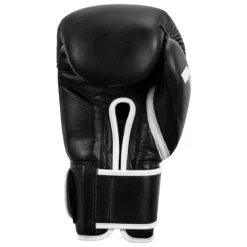 Fighting Sports Fury Professional Training Gloves