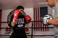 Fighting Sports Fury Professional Training Gloves