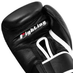 Fighting Sports Fury Professional Training Gloves