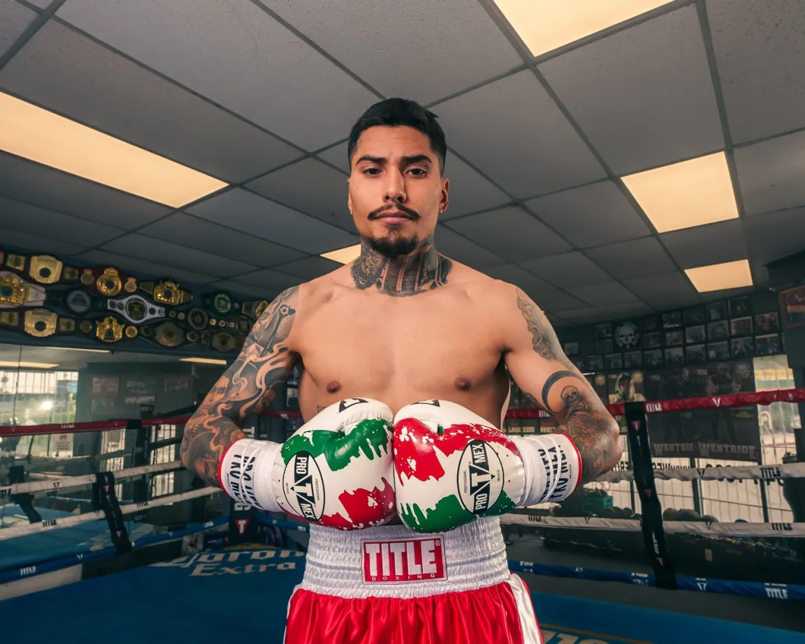 Pro Mex Combatiente Pro Fight Boxing Gloves
