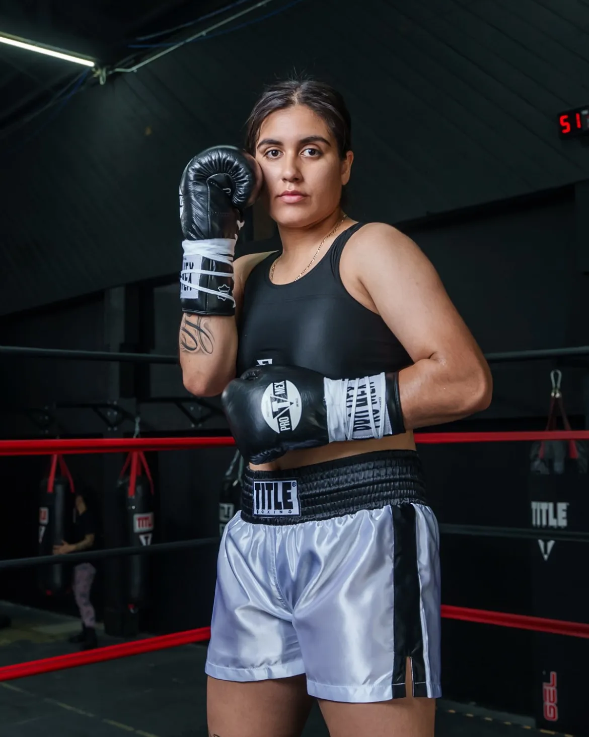 Pro Mex Combatiente Pro Fight Boxing Gloves
