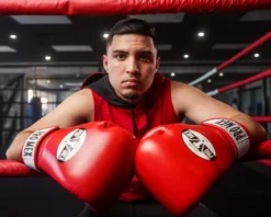 Pro Mex Professional Bag Boxing Gloves V3.0