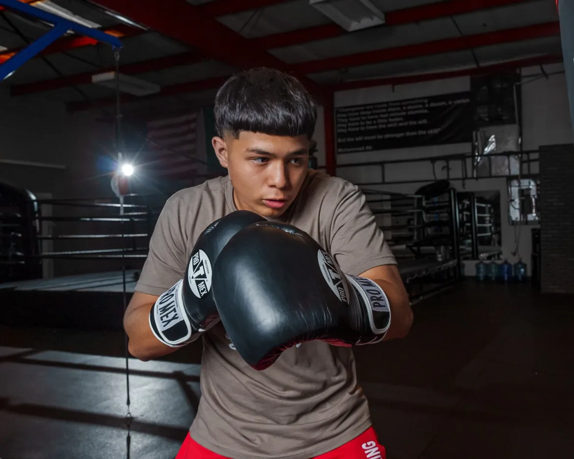 Pro Mex Professional Training Boxing Gloves 3.0