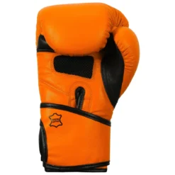 TITLE Boxing Dauntless Training Boxing Gloves