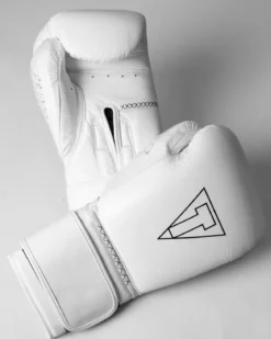 TITLE Boxing Momentum Pro Bag Gloves