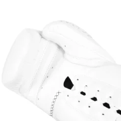 TITLE Boxing Momentum Pro Sparring Gloves
