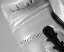TITLE Boxing Momentum Pro Sparring Gloves