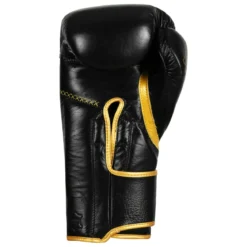 TITLE Boxing Momentum Pro Training Gloves