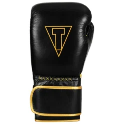 TITLE Boxing Momentum Pro Training Gloves