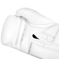 TITLE Boxing Momentum Pro Training Gloves