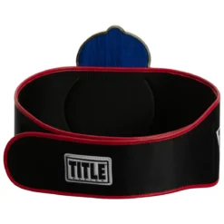 TITLE Boxing Old School Title Belt