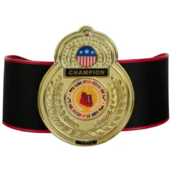 TITLE Boxing Old School Title Belt