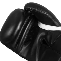 TITLE Boxing Peak Training Boxing Gloves
