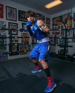 TITLE Boxing Stinger Reversible Amateur Boxing Set