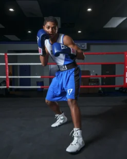 TITLE Boxing Striker Amateur Boxing Set