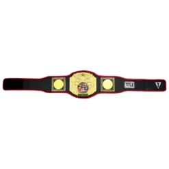 TITLE Boxing Triple Platinum Title Belt