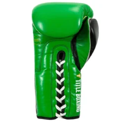 TITLE Boxing WBC Sparring Gloves