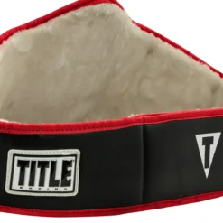 TITLE Boxing World Championship Title Belt