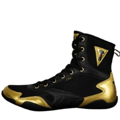TITLE Charged Boxing Shoes