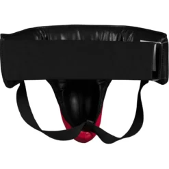 TITLE Classic Deluxe Groin Protector Plus 2.0