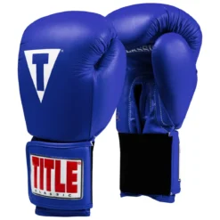 TITLE Classic Leather Elastic Training Boxing Gloves 2.0