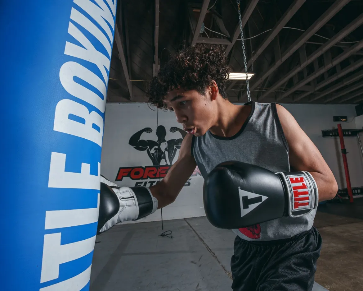 TITLE Classic Pro Style Training Boxing Gloves 3.0