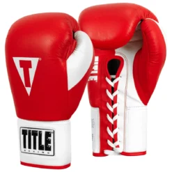 TITLE Great Official Pro Fight Gloves