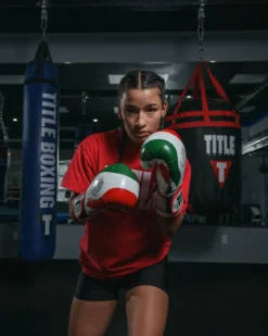 TITLE Infused Foam El Combate Mexico Training Gloves