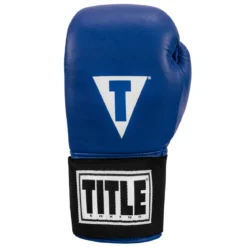 TITLE Masters USA Boxing Competition Gloves - Elastic