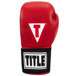 TITLE Masters USA Boxing Competition Gloves - Elastic