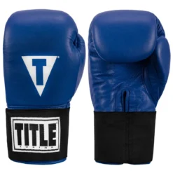 TITLE Masters USA Boxing Competition Gloves - Elastic
