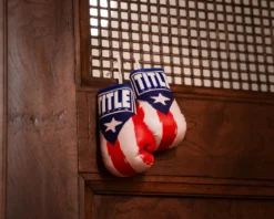 TITLE 5” MINI BOXING GLOVES