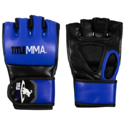 TITLE MMA Fight Gloves