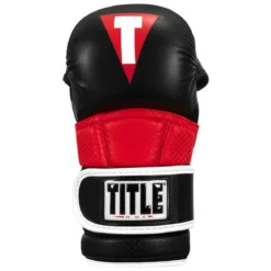 TITLE MMA Full Contact Sparring Gloves