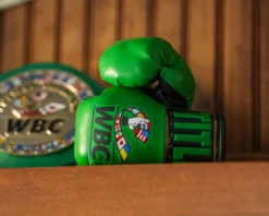 TITLE WBC Cares Mini Boxing Gloves