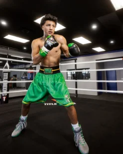 TITLE WBC Professional Boxing Trunks