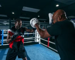 TITLE White Punch Mitts 2.0