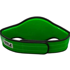 World Boxing Champion Title Belt